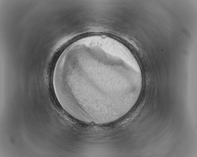 X0000111361311200908211247