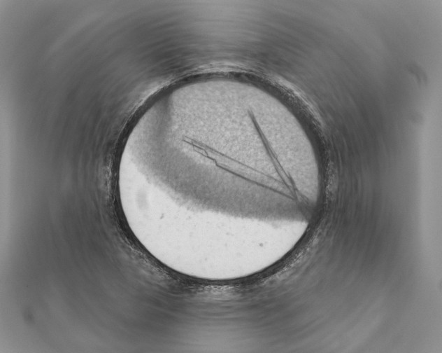 X0000111361313200908211247