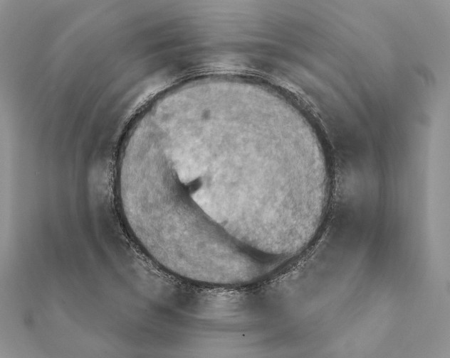 X0000111361314200908211247