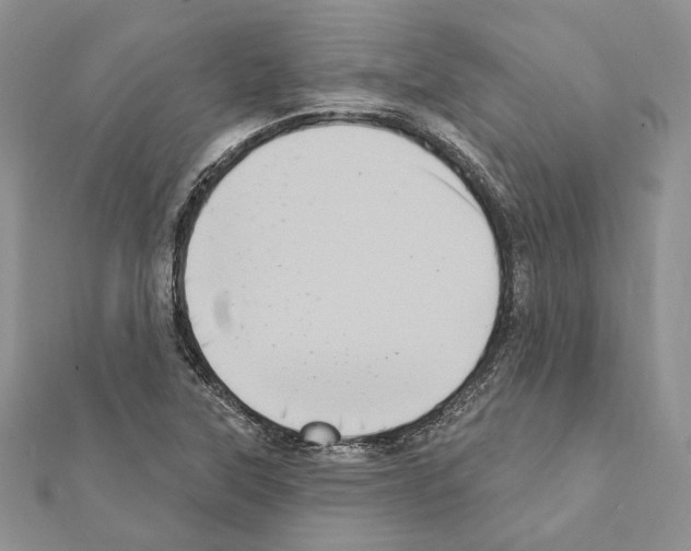 X0000111361315200908211247