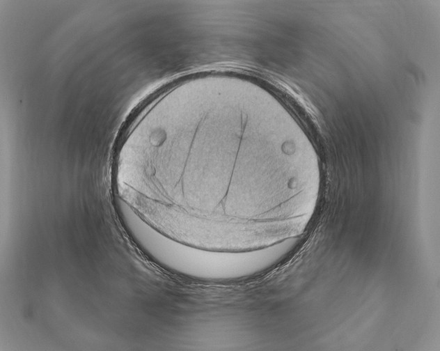 X0000111361316200908211247