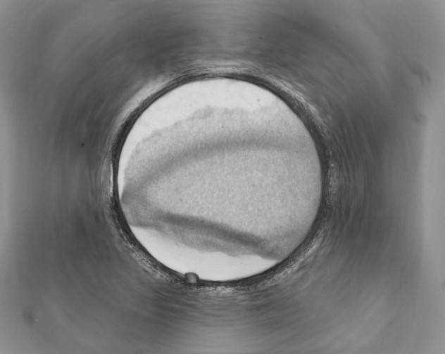 X0000111361317200908211247