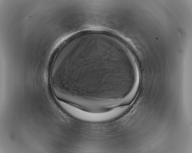 X0000111361319200908211247