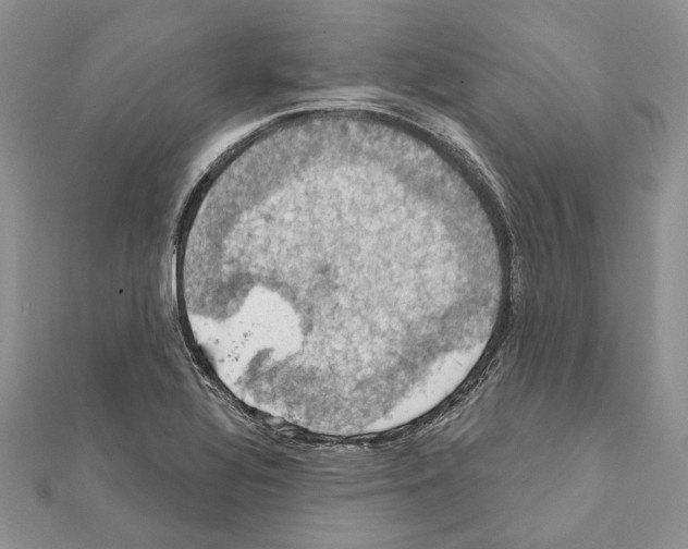 X0000111361320200908211247