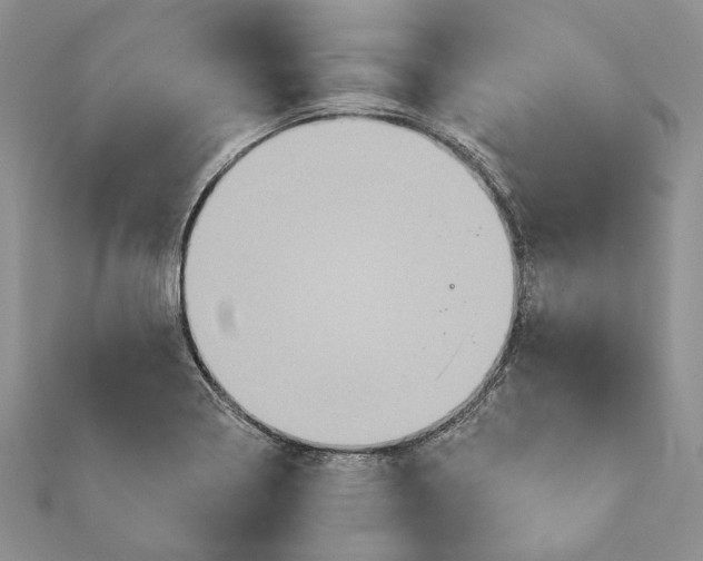 X0000111361322200908211247