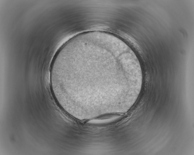 X0000111361324200908211247