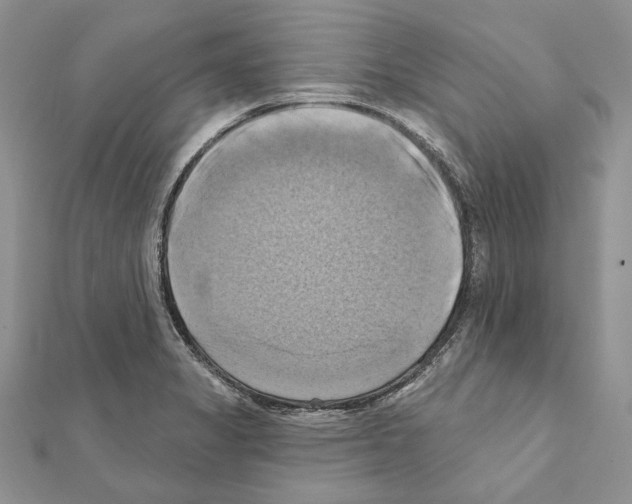 X0000111361325200908211248