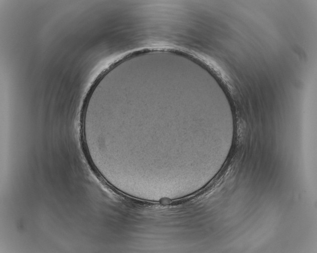 X0000111361327200908211248