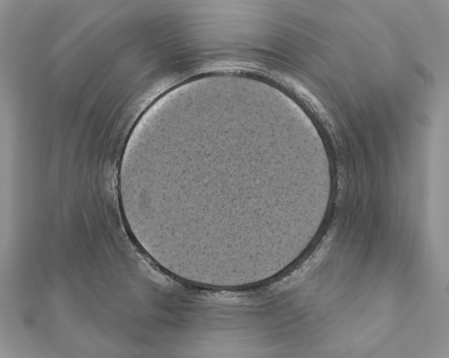 X0000111361329200908211248