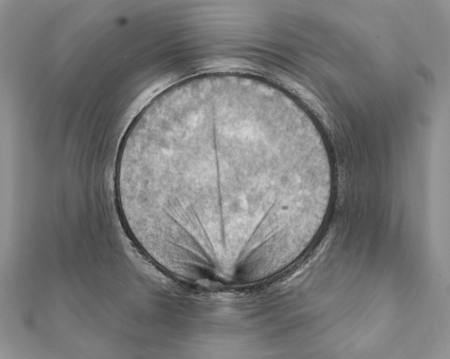 X0000111361330200908211248