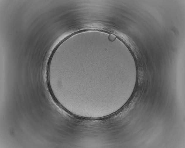 X0000111361331200908211248