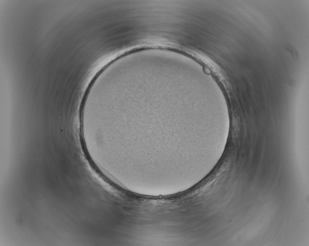 X0000111361335200908211248