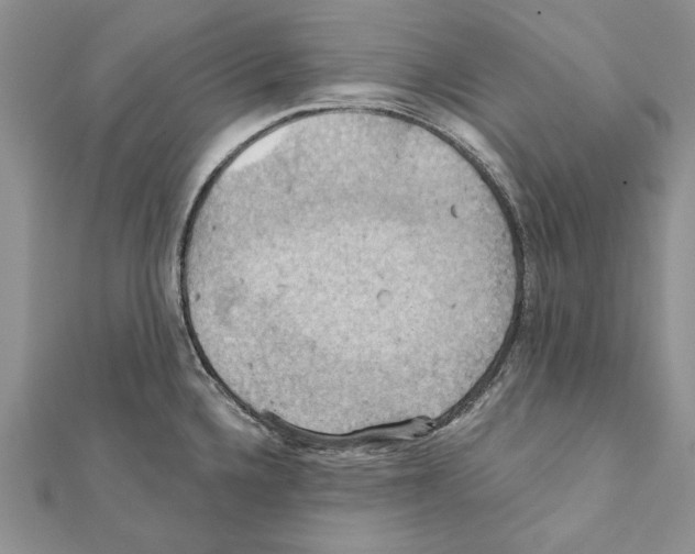 X0000111361336200908211248