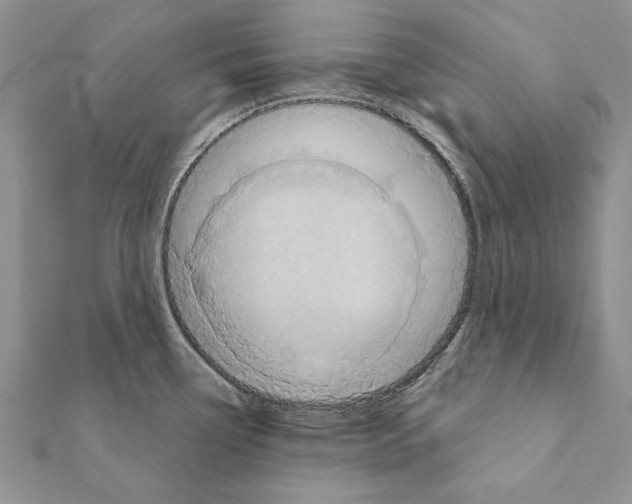 X0000111361338200908211248