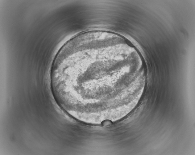 X0000111361341200908211248