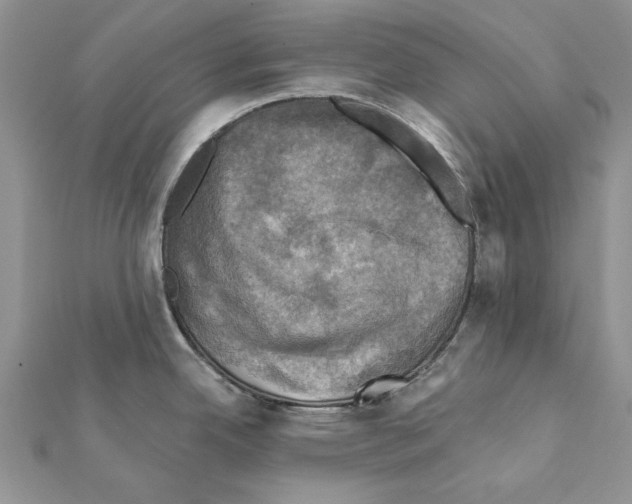 X0000111361342200908211248