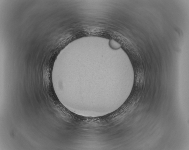 X0000111361346200908211247