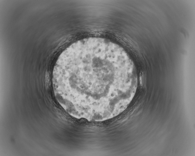 X0000111361347200908211247