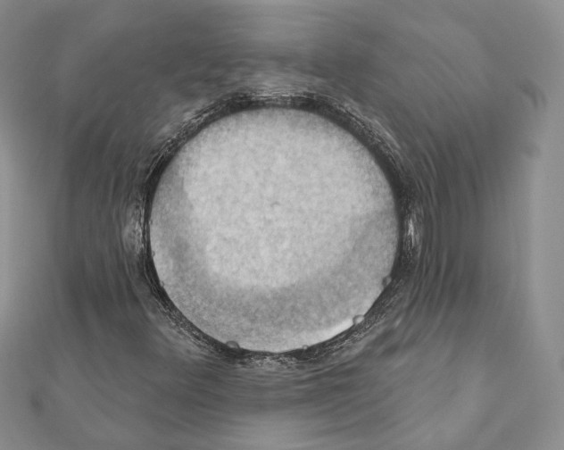 X0000111361348200908211247