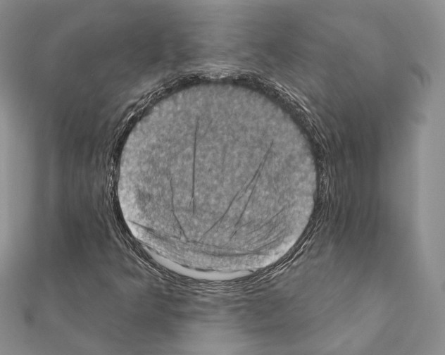 X0000111361349200908211247