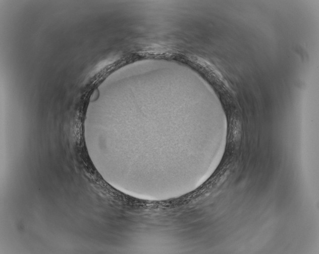 X0000111361350200908211247