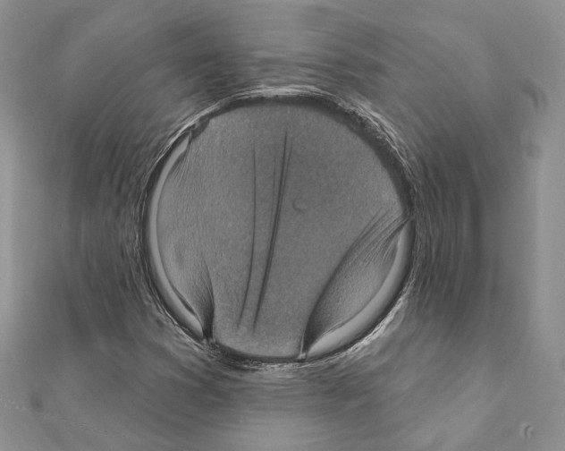 X0000111361353200908211247