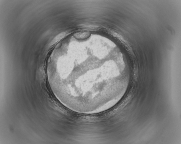 X0000111361354200908211247