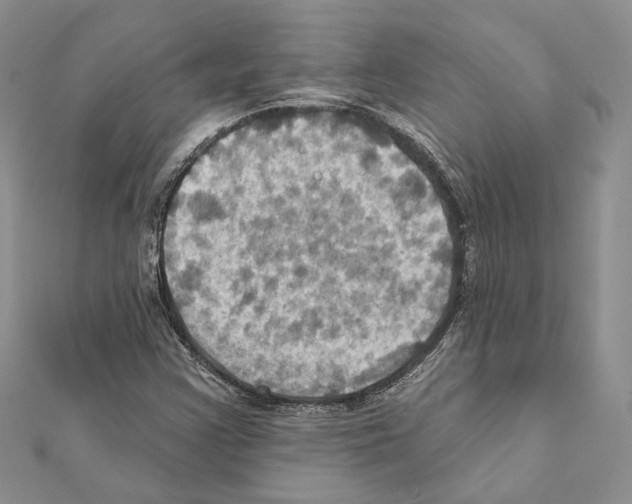 X0000111361355200908211247