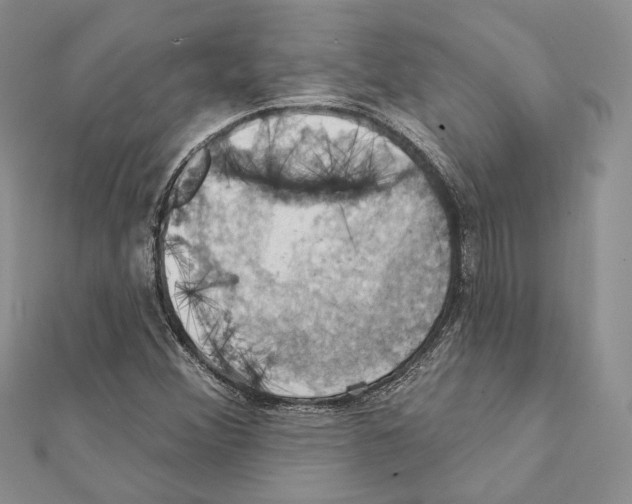 X0000111361356200908211247