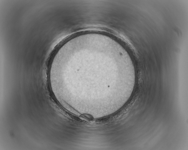 X0000111361360200908211247