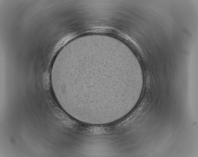 X0000111361362200908211247