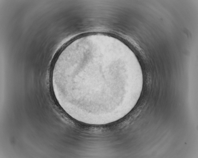 X0000111361364200908211247