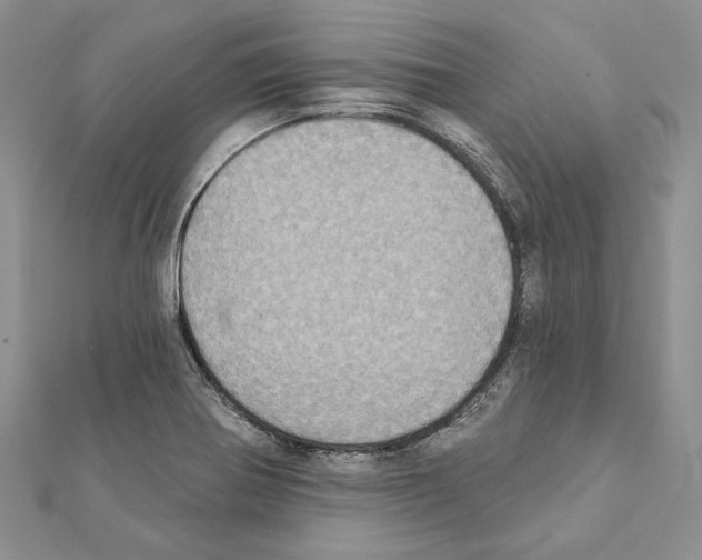 X0000111361370200908211247