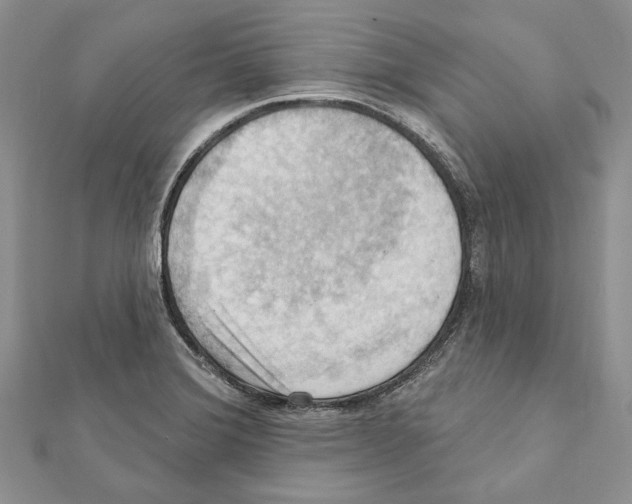 X0000111361372200908211247