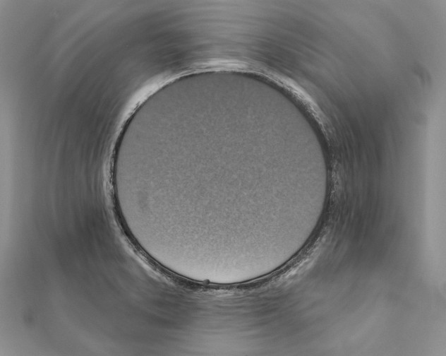 X0000111361373200908211247