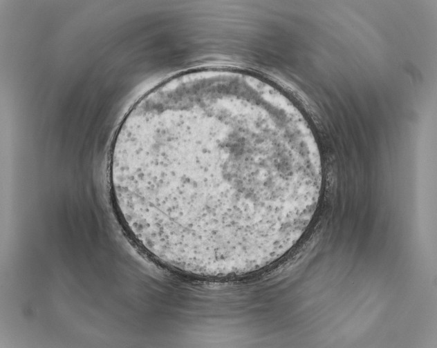 X0000111361375200908211247