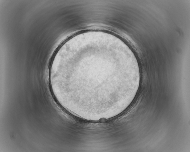 X0000111361376200908211247