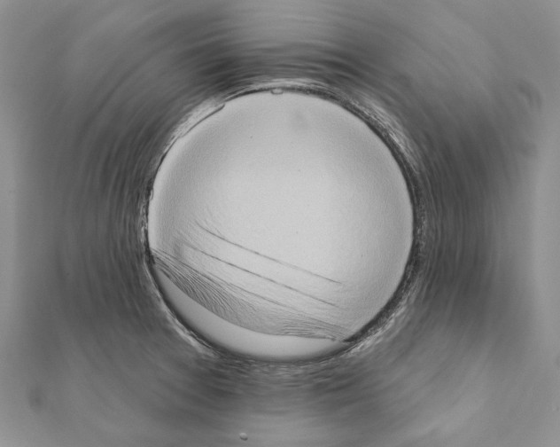 X0000111361377200908211247