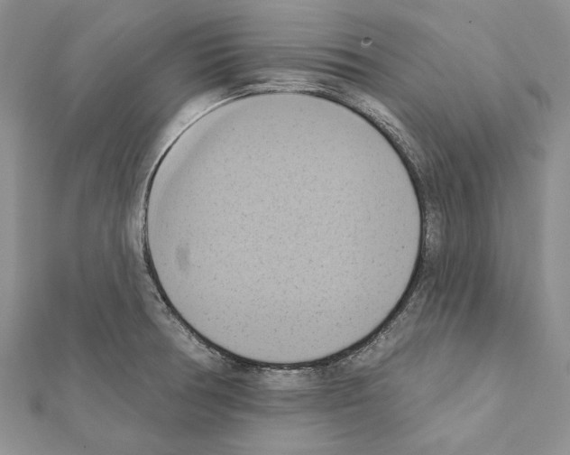 X0000111361378200908211247