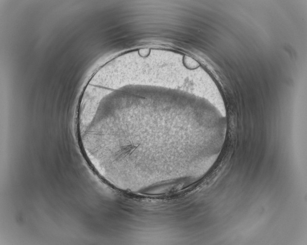 X0000111361379200908211247