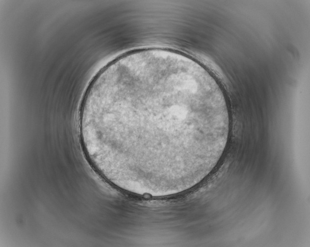 X0000111361380200908211247