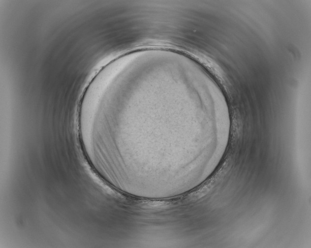 X0000111361382200908211246