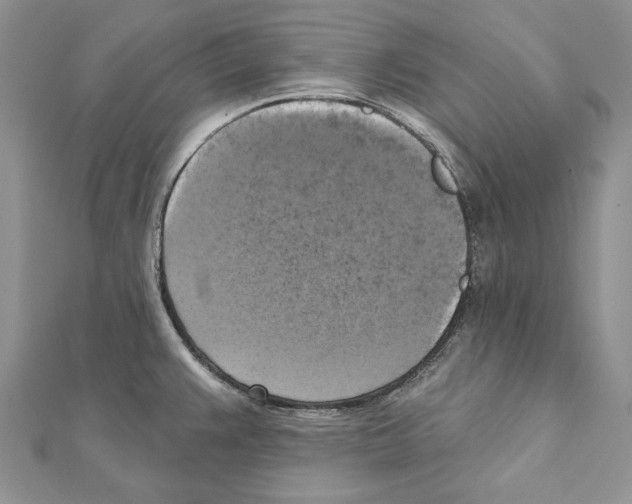 X0000111361383200908211246