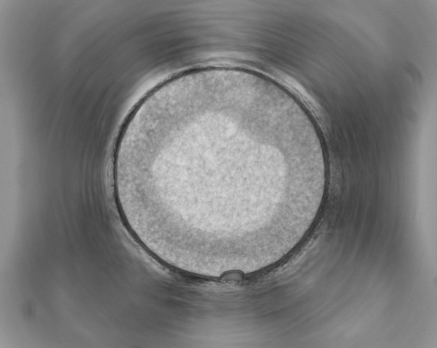 X0000111361384200908211246