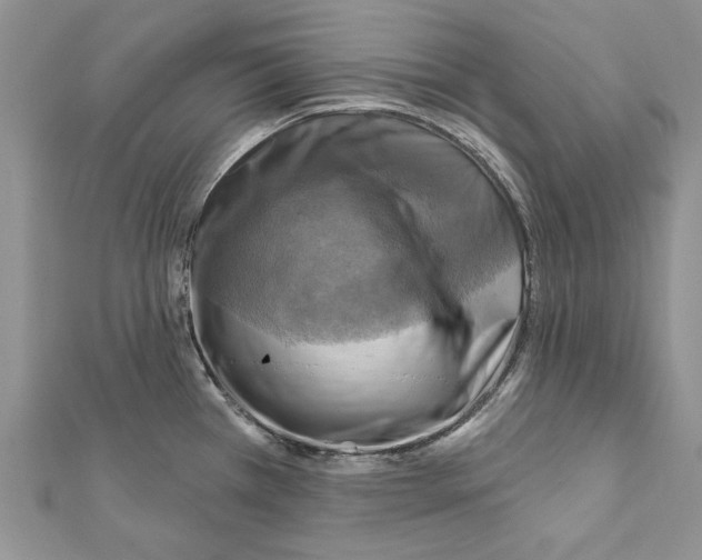 X0000111361385200908211246