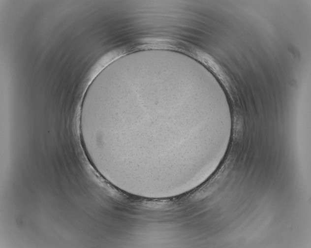 X0000111361386200908211246