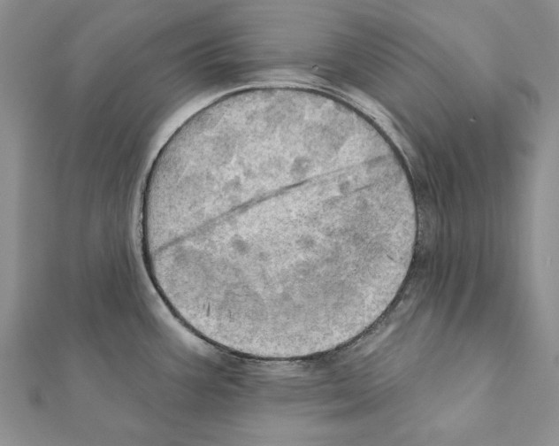 X0000111361387200908211246