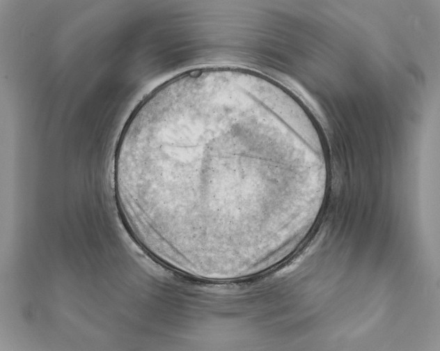 X0000111361388200908211246