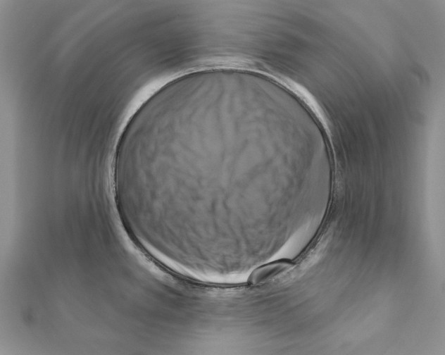 X0000111361389200908211246