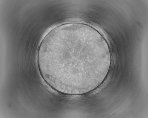 X0000111361390200908211246